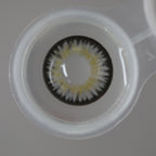 【US WAREHOUSE】Freesia Gray Colored1111111111