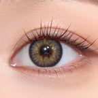 【US WAREHOUSE】Freesia Gray Colored1111111111
